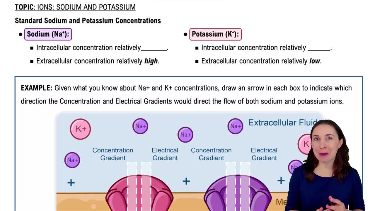 Standard Sodium and Potassium Concentrations