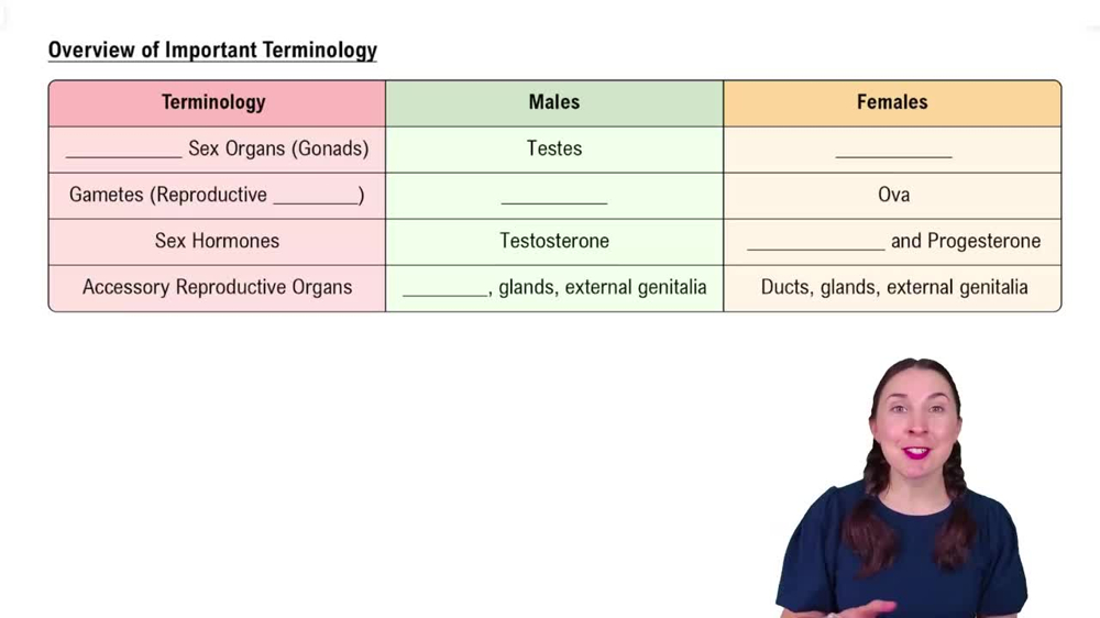 Overview of Important Terminology