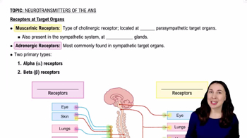 Receptors at Target Organs