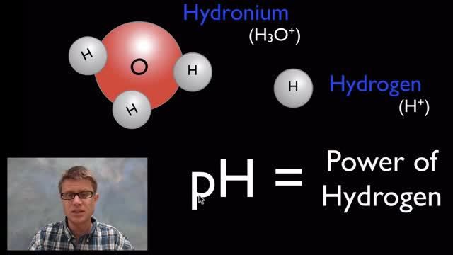 Acids, Bases, and pH