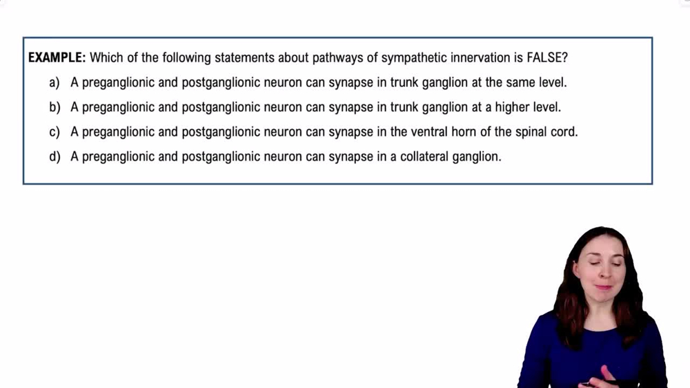 Sympathetic Nervous System Example 4