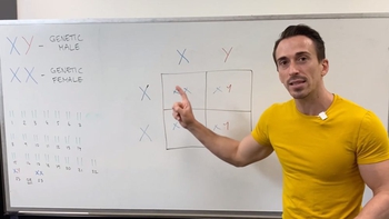 X-linked Inheritance and Punnett Squares