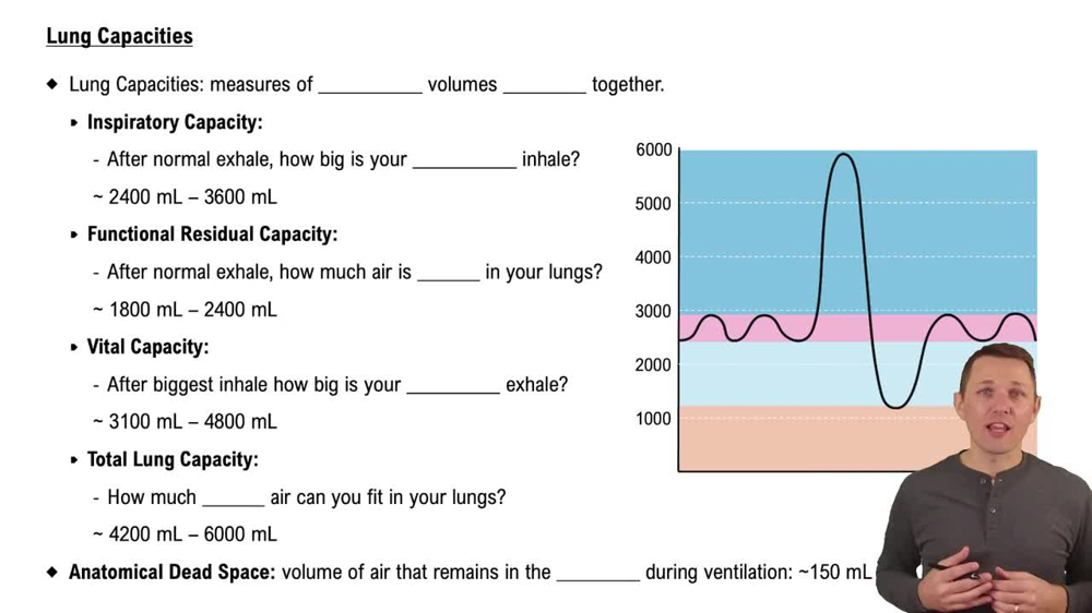 Lung Capacities