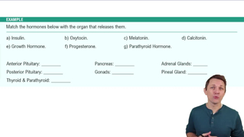 Hormone Review Table Example 1