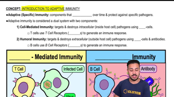 Adaptive Immunity