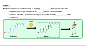 Vitamin D