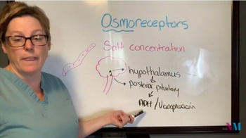 Osmoreceptors, the Hypothalamus, ADH and Thirst Mechanism