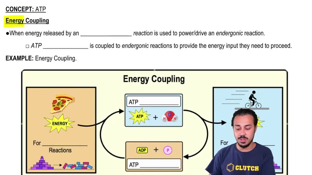 Energy Coupling