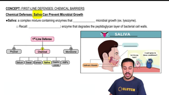 Saliva