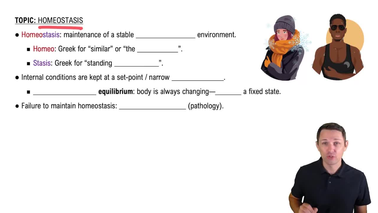 Introduction to Homeostasis