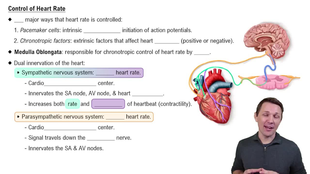 Control of Heart Rate