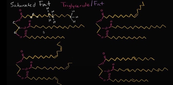 Saturated Fats, Unsaturated Fats, and Trans Fats