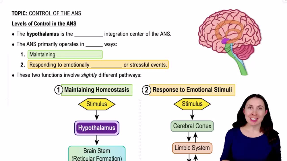 Levels of Control in the ANS
