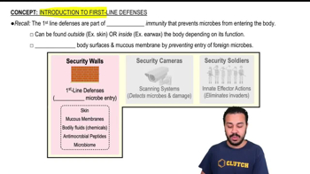 First-Line Defenses