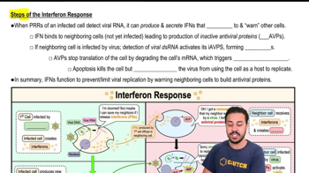Steps of the Interferon Response
