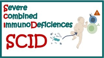 SCID (Severe combined immunodeficiency) || symptoms and immunology || Immunodeficiency