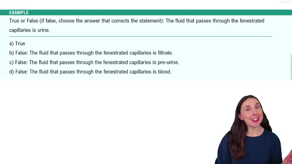 The Nephron Example 2