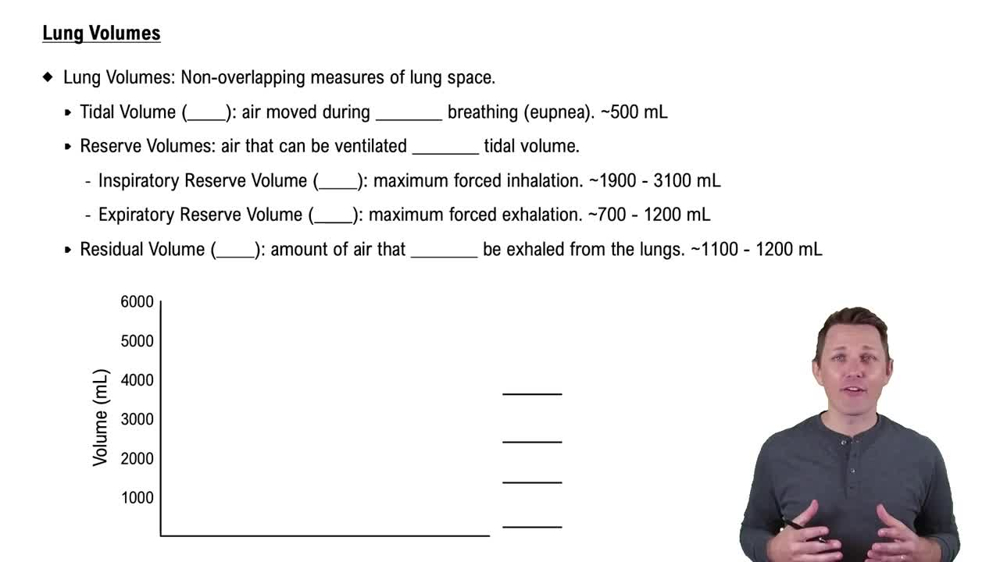 Lung Volumes