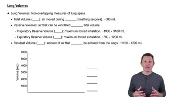 Lung Volumes