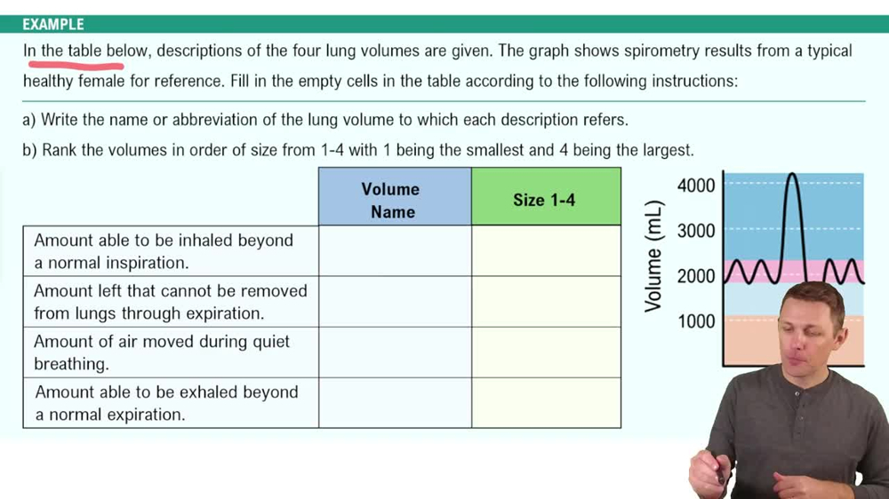 Lung Volumes and Capacities Example 1