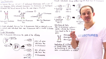 Sex Chromosomes and Sex-Linked Traits