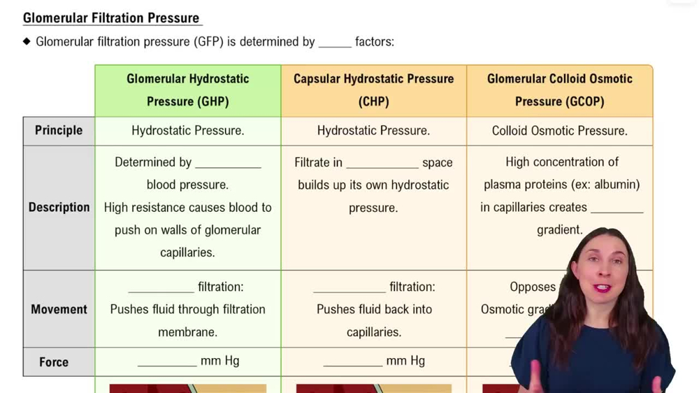 Glomerular Filtration Pressure