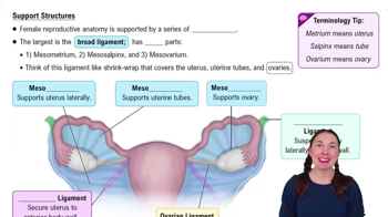 Support Structures