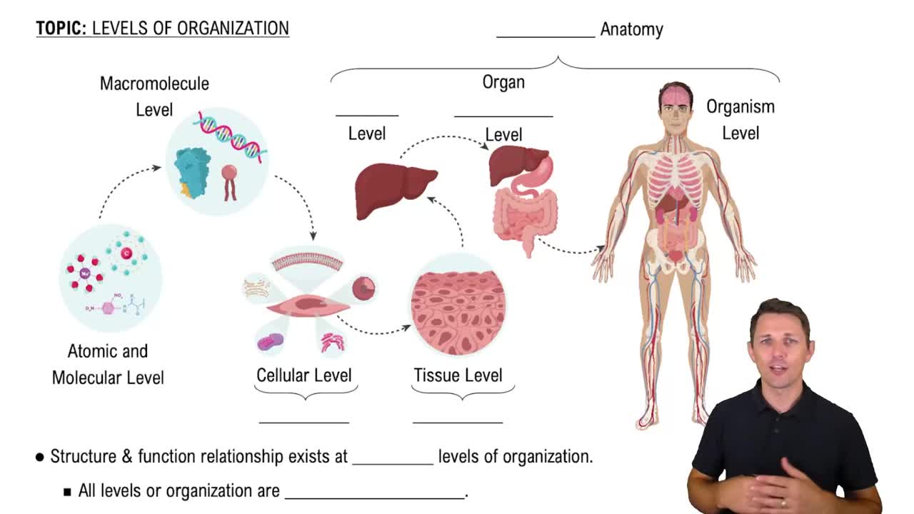 The Levels of Organization