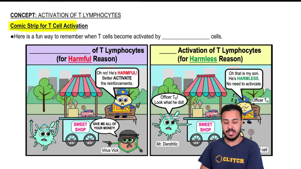 Comic Strip for T-Cell Activation