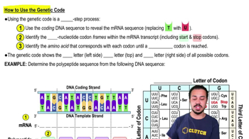 How to Use the Genetic Code