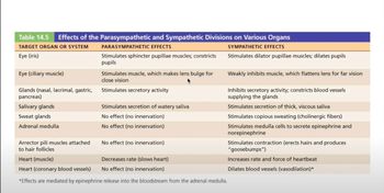 Parasympathetic and Sympathetic Interactions