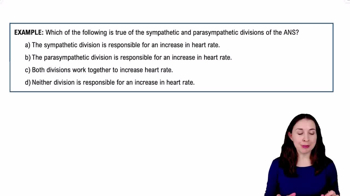 Introduction to the Autonomic Nervous System Example 2
