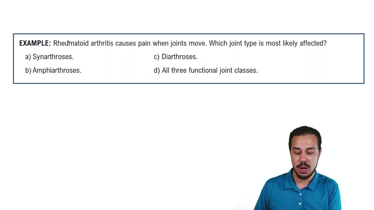 Classification of Joints Example 1