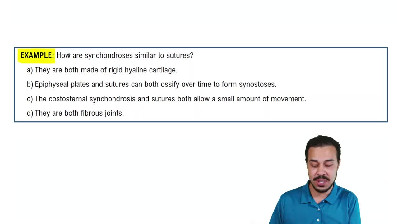 Structural Class: Cartilaginous Joints Example 1