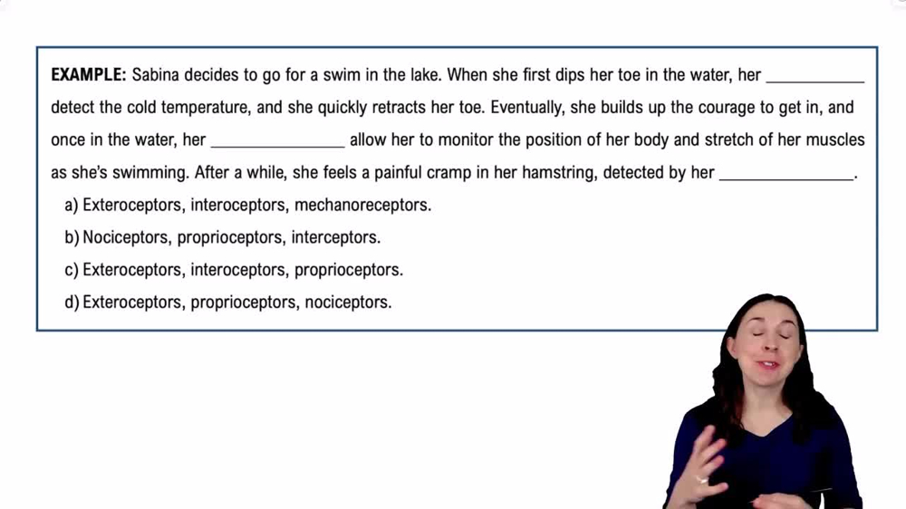 Sensory Receptor Classification by Location Example 1