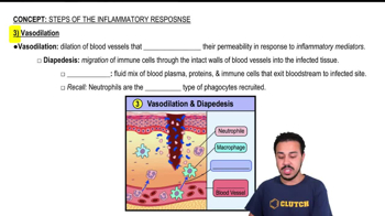 Step 3: Vasodilation