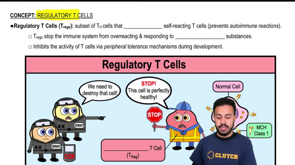 Regulatory T Cells