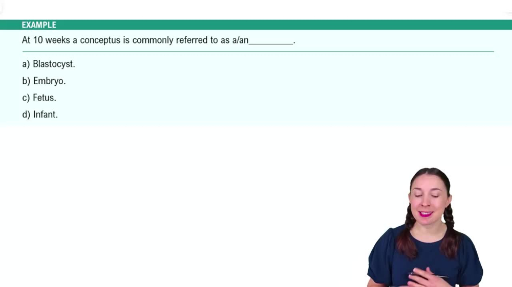 Introduction to Human Development Example 2