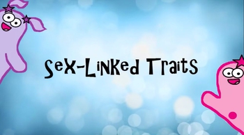 Punnett Squares and Sex-Linked Traits
