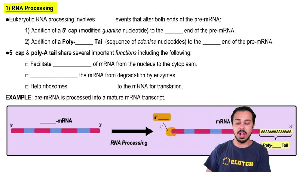 1) RNA Processing