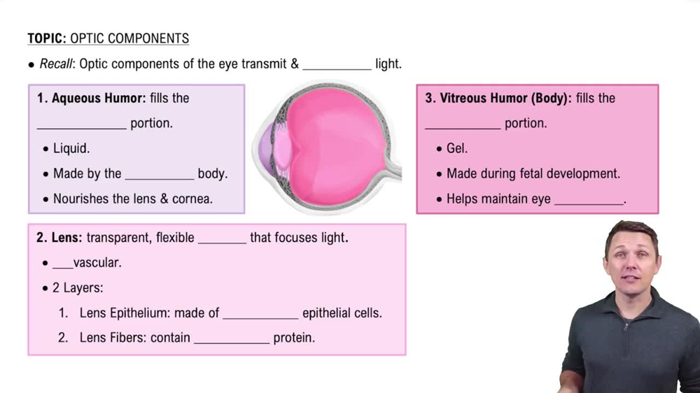 Optic Components