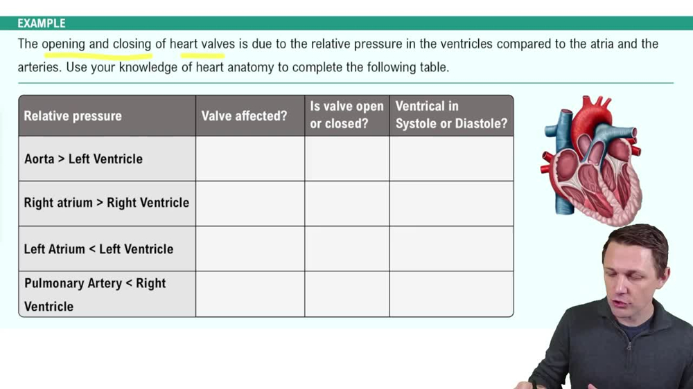 Cardiac Cycle Example 1