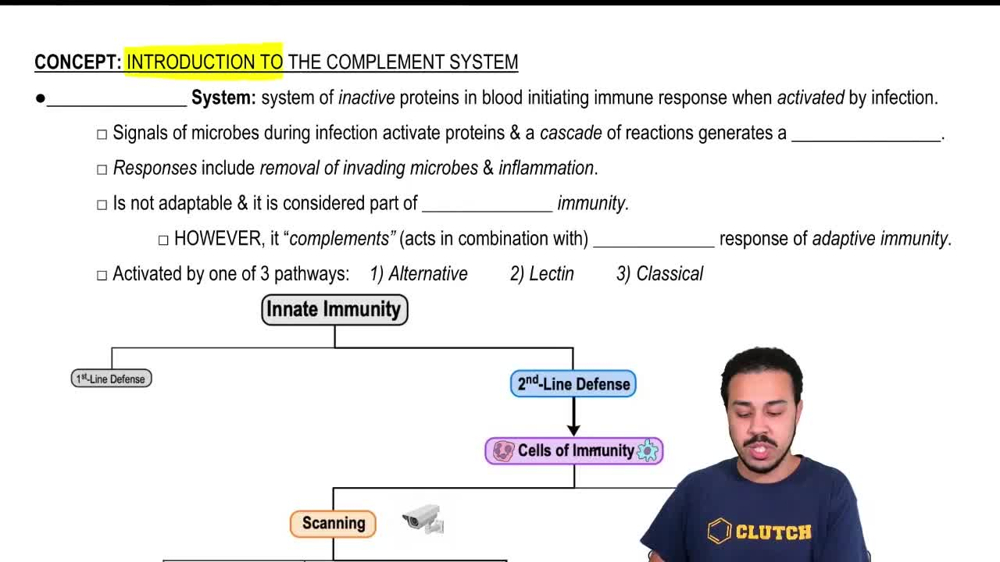 Complement System
