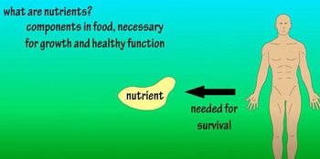 What Are Nutrients - What Is Nutrient Density - What Are Nutrient Dense Foods?