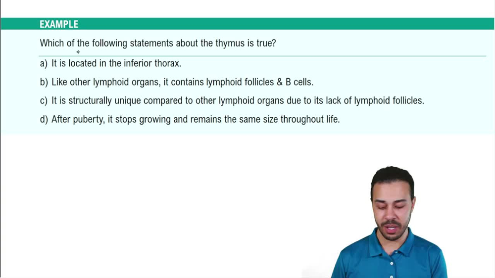 Primary Lymphoid Organs Example 1