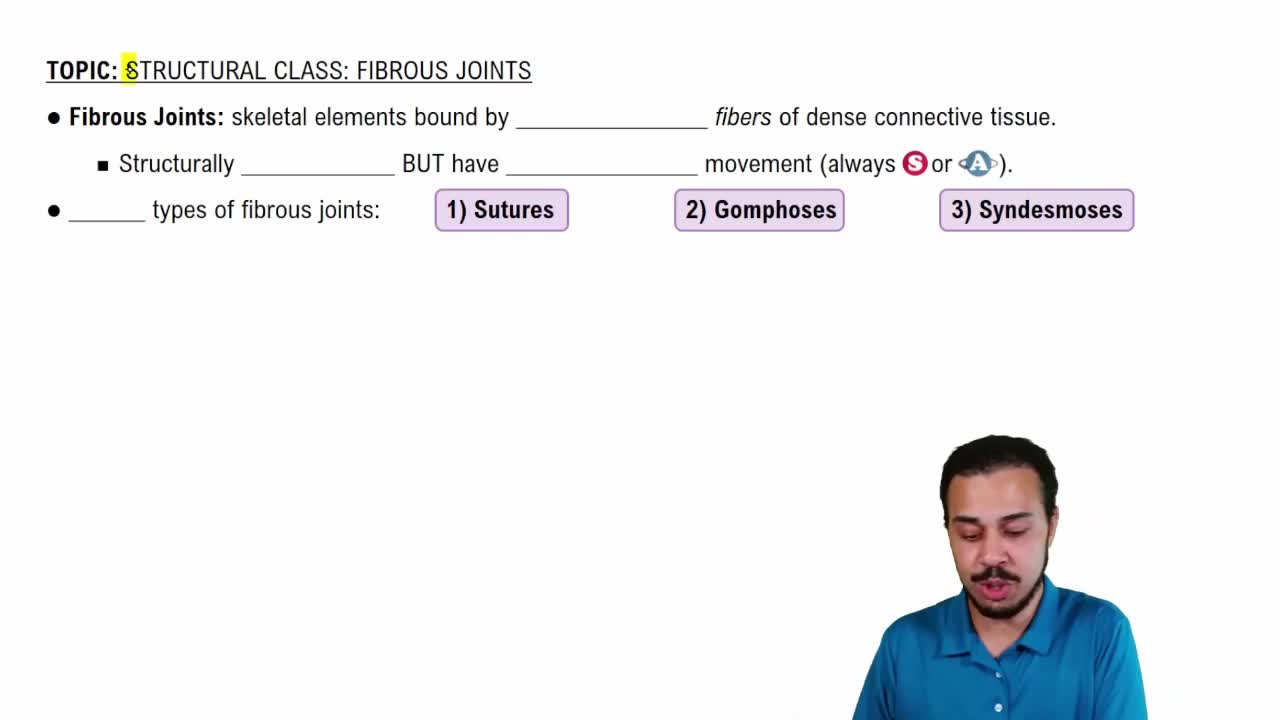 Introduction to Fibrous Joints