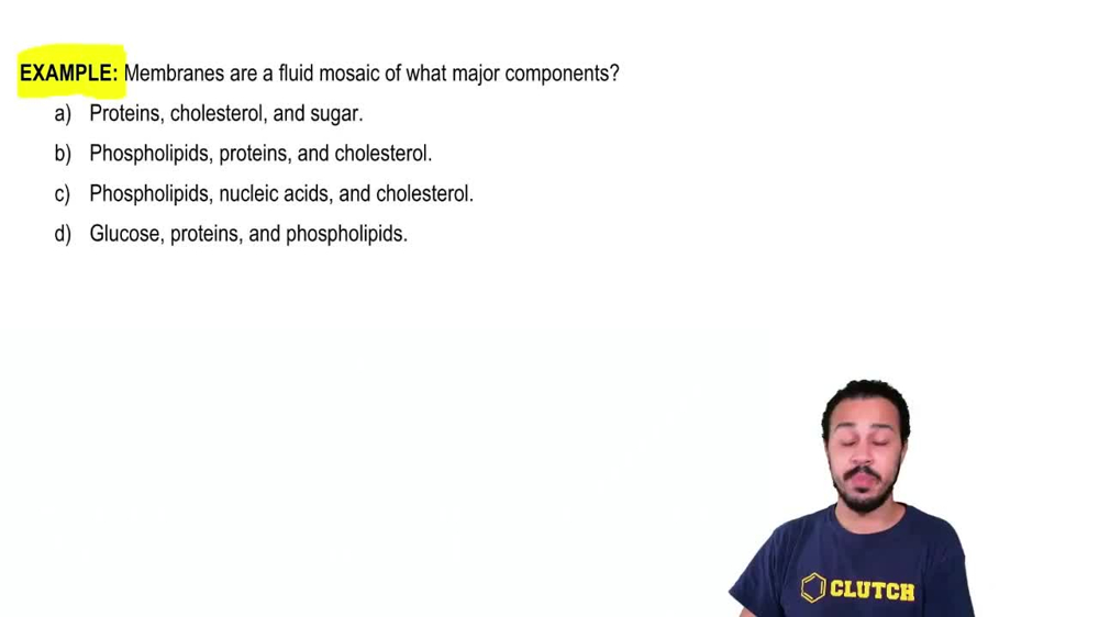 Biological Membranes Example 1