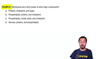 Biological Membranes Example 1