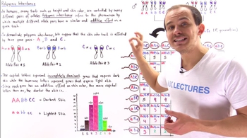 Polygenic Inheritance