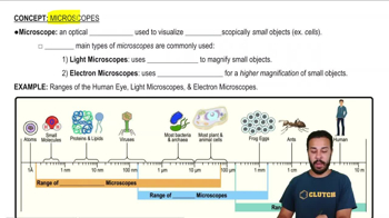 Microscopes